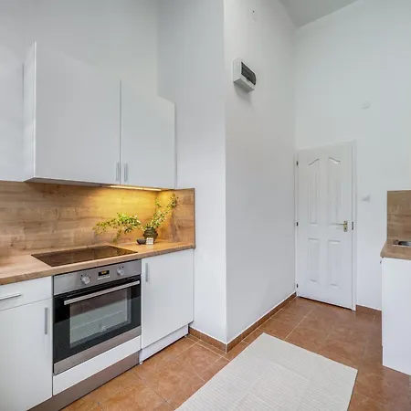 Szekely Bertalan Budapeşte